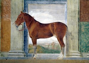 Sala dei Cavalli, detalle mostrando un retrato de un caballo castaño de los establos de Ludovico Gonzaga III de Mantua, 1528